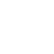 Speedometer needle